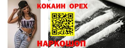 стаф Дубна