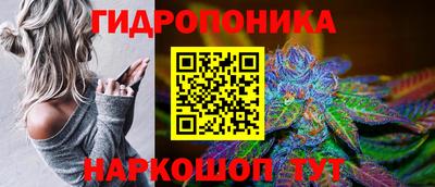 стаф Дубна
