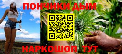 стаф Дубна