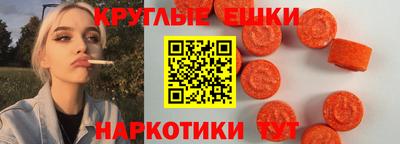 стаф Дубна