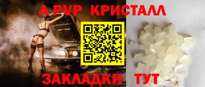 стаф Дубна