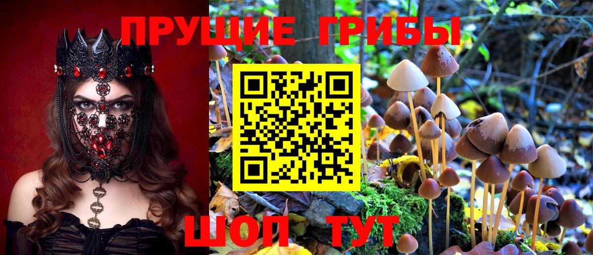 Лосино-Петровский  Псилоцибиновые грибы мицелий  Вход с VPN  Галлюциногенные грибы мицелий 
